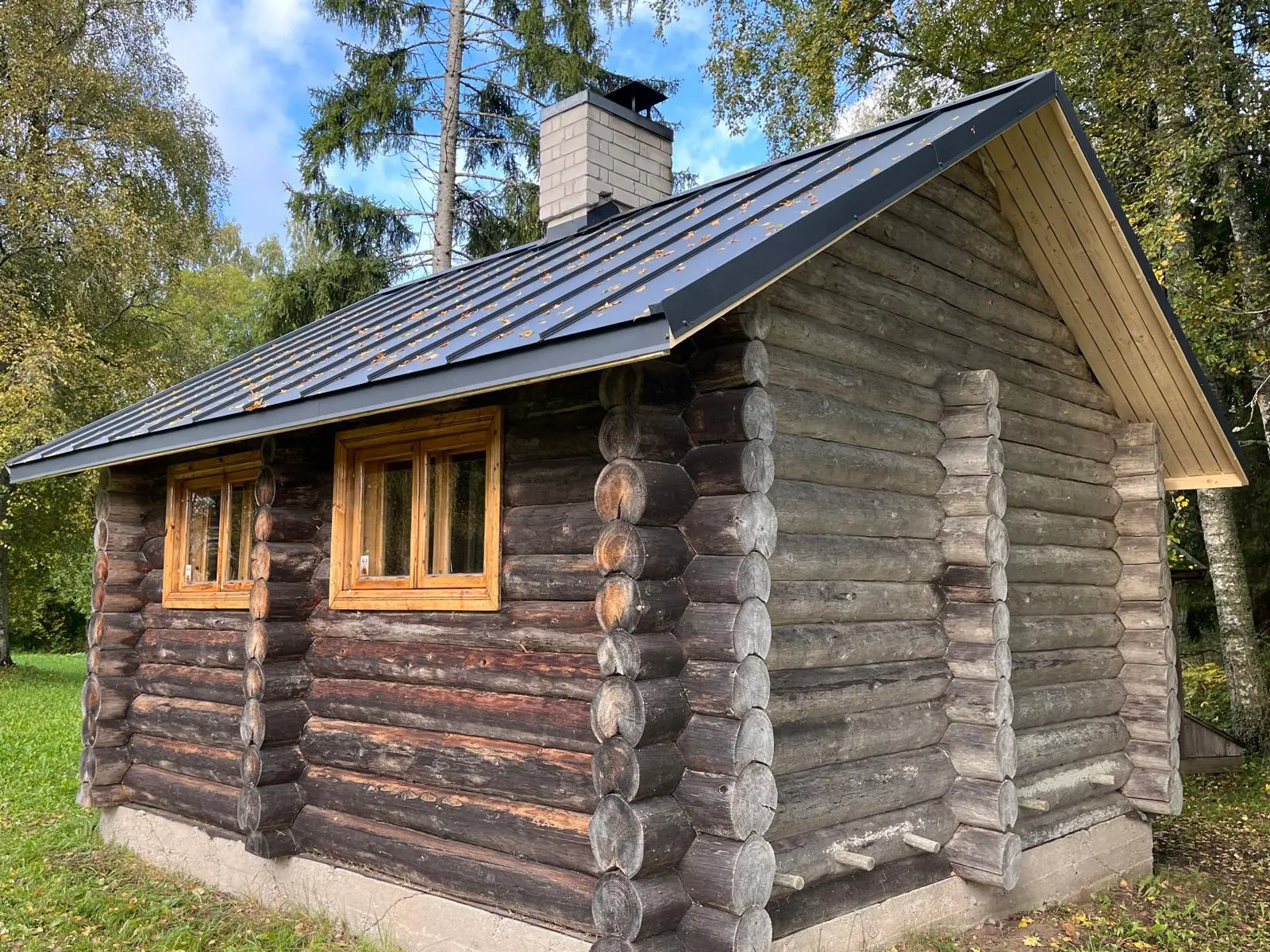 Palksauna uus katus ja värske männilaudis viilus